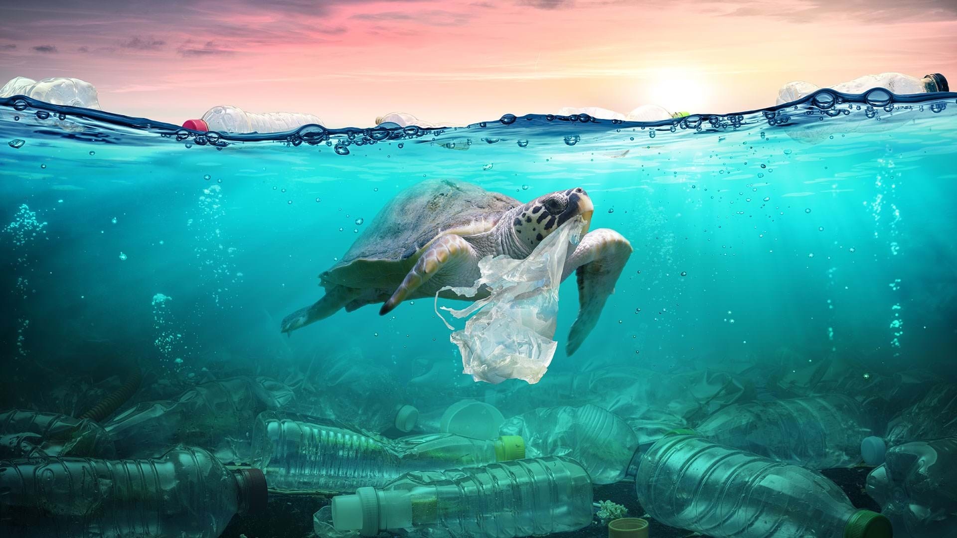 Plastic Pollution Emissions Are Projected to Soar to Billion Metric